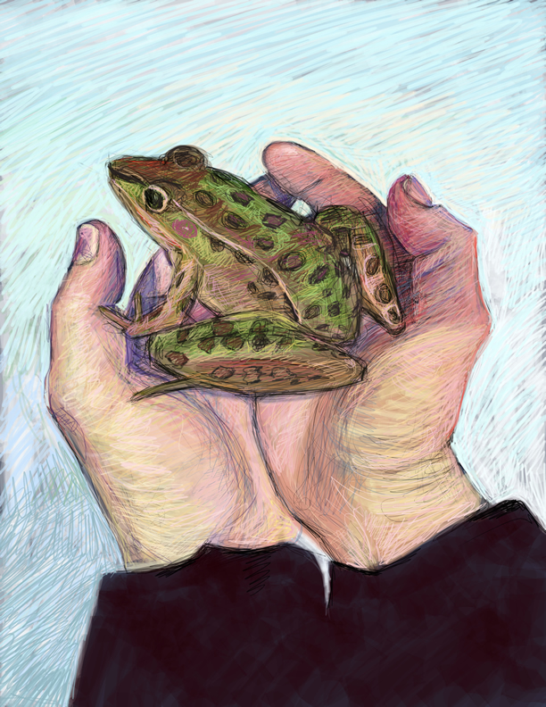 021315_layerhands-frogsm